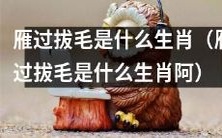 哪种生肖会进行雁过拔毛行为?