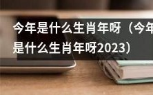 2023年究竟是哪一种生肖年?——探寻即将到来的中国农历动物年周期