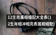 12种生肖属相婚配完整列表,包括对应的相冲和相克信息(12生肖相冲相克表属相婚配)