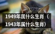 根据中国农历,1949年出生的人属于哪种生肖?