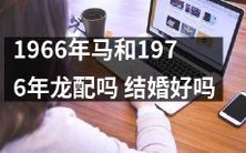 1966年出生的马与1976年出生的龙是否适合结为夫妻?这是一个值得探讨的问题