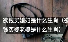 哪个生肖的人倾向于用金钱来迎娶配偶?