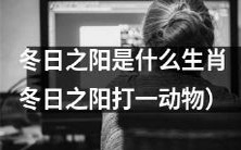 什么生肖是冬日之阳?