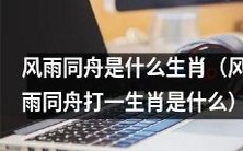 请问哪个生肖能代表“风雨同舟”这个成语呢?