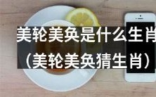 猜猜哪个生肖能够展现出美轮美奂的风采