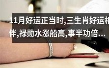 11月好运降临,三生肖幸运相逢,禄勋助燃船高水涨,事半功倍加速前进!