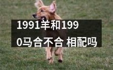 1991年出生的羊和1990年出生的马之间存在适配问题吗?