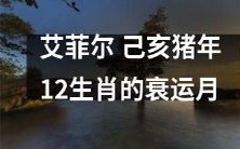 艾菲尔庆祝己亥猪年:深入探究12生肖在衰运月中的命运起伏