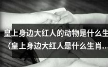 在皇帝的侧身,哪个生肖是备受崇拜的走红之人?