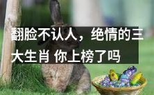 你是否被列入绝情的三大生肖:那些翻脸不认人的动物星座?