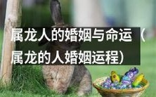 探究属龙人的婚姻是否影响命运轨迹:从属龙人的婚姻运程入手