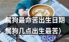 以生肖属狗为基准,什么时候出生最为不利?