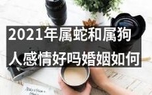 2021年属蛇和属狗人的依据生肖的匹配度,其感情是否默契且婚姻关系稳定?
