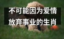 以事业为重,这些生肖不会因爱情而妥协、放弃