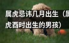 探究男性属虎酉时出生的几月忌讳有哪些?