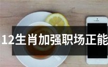 如何通过12生肖的特质来加强职场正能量?