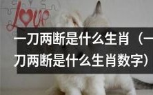 哪些生肖或数字代表“一刀两断”?
