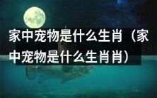 你家里的宠物属于哪个生肖?