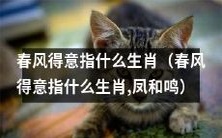 春风得意是哪些生肖所具备的特征,与凤凰鸣语有关