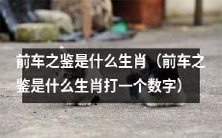 你知道前车之鉴是什么生肖吗?根据历史经验,它应该是哪一种动物呢?