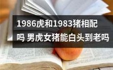 男性虎和女性猪的1986年出生的配对是否合适,他们是否能够长久白头偕老?