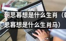 哪个生肖在朝思暮想方面具有独特优势?