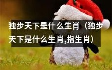 请问独步天下所属的生肖是什么?