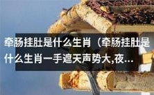哪个生肖容易牵肠挂肚,一手遮天声势大,夜蛾扑火不自量?