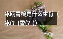 寻找冰瓯雪椀属于哪个生肖的答案