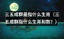 三五成群是指哪些生肖和它们的数量?