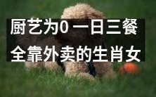 一个没有厨艺的女生,每天仅依赖外卖生存的十二生肖女子