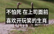 12个生肖中有哪些人不惧死亡,喜欢在上司面前开玩笑?