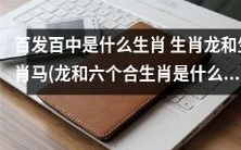 生肖龙、生肖马以及六个合生肖,究竟哪些属于百发百中的选手?