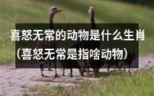 喜怒无常的动物,有哪些生肖是具有这种特征的?