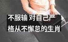 坚持不输,永不懈怠的生肖——其中包含了他们的自我要求和不屈的精神!