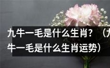 九牛一毛的生肖是什么?它对应的生肖运势如何?