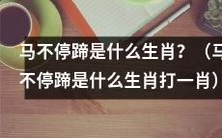 请问“马不停蹄”的意思是指哪个生肖?