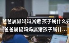 如果爸爸是属鼠,妈妈是属猪,孩子应该属什么才最好呢?