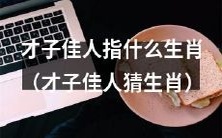 尽显才情风度,寻找特定生肖之才子佳人游戏