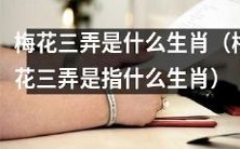 请推断一下“梅花三弄”可能代表哪个生肖?