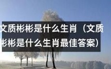 什么生肖最适合用“文质彬彬”来形容