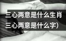 三心两意的生肖或对应的汉字是什么?