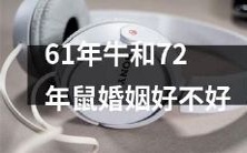 61年龄牛和72年龄鼠的婚姻是否稳定健康?