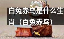白兔赤鸟:探究其神秘的生肖意义是什么?