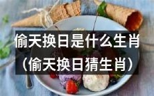 不知道偷天换日的人是哪一个生肖