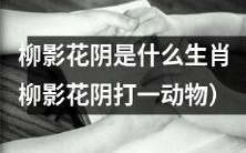 请问,柳影花阴是哪个生肖?将柳影花阴谜语翻译为动物名称