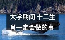 大学生必做之事:探究十二生肖文化的习俗与传统