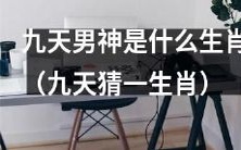 九天男神,我们可以猜测一下他属于哪个生肖,来一起探究一下吧!