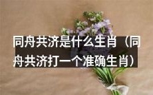 同舟共济生肖是哪些?