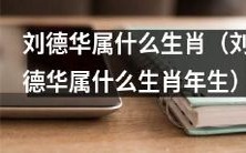 请问刘德华所属的是哪一年的生肖呢?